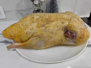 Утка домашняя