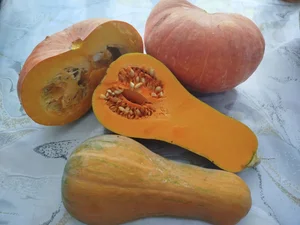 Картофель Коломбо, Королева Анна (крупный и средний)