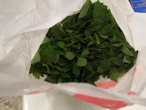 Капуста ранняя