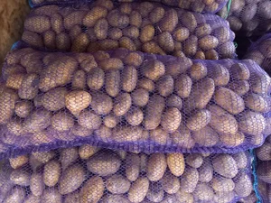 Картофель