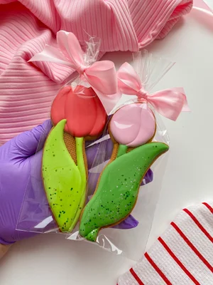 Набор “Распиши сама” (пряники с глазурью)