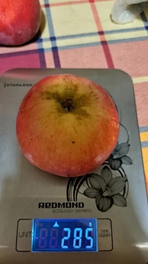 Яблоки