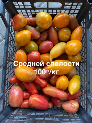 Огурцы корнишоны