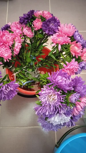 Астры букет