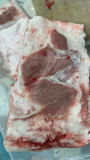 Сало на посол