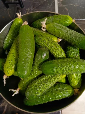 Огурцы