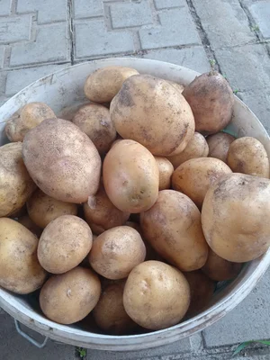 Клубника