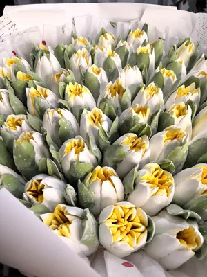 Зефирные тюльпаны