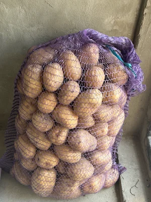 Картофель