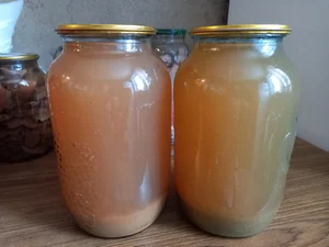 Рыжики маринованные