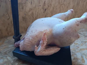 Индейка