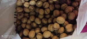 Грецкий орех