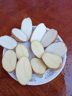 Картофель (сорта Гала и Янка)