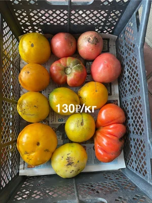 Огурцы корнишоны
