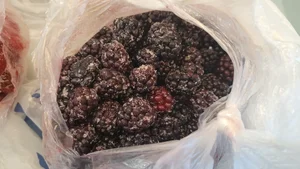 Замороженная клубника