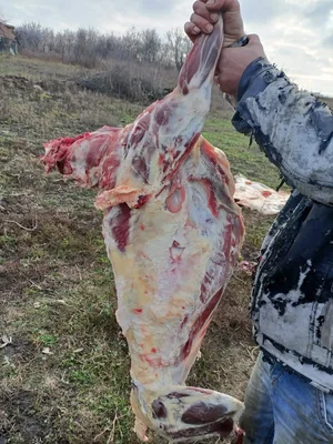 Картофель