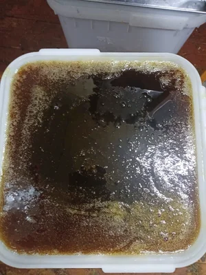 Мёд липы