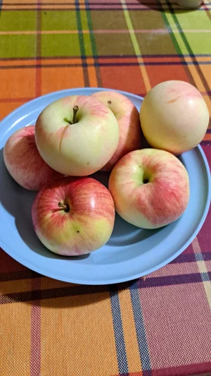 Яблоки сладкие, разных сортов