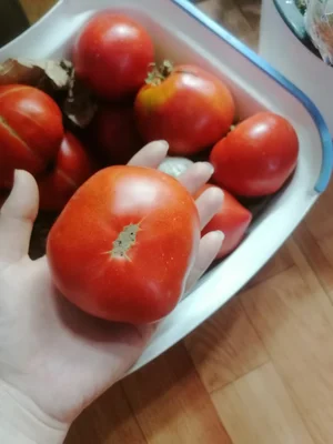 Огурцы