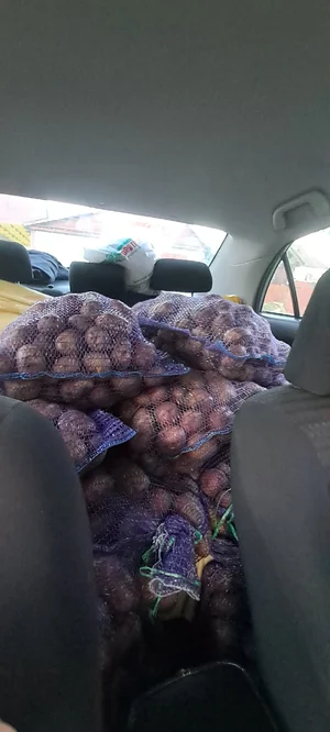 Картофель