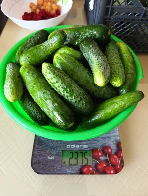 Кабачки