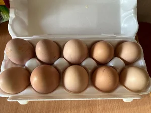 Яйца куриные