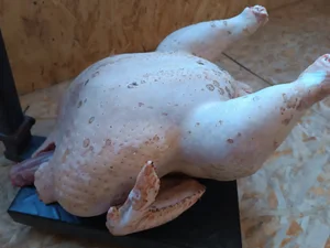 Домашний картофель