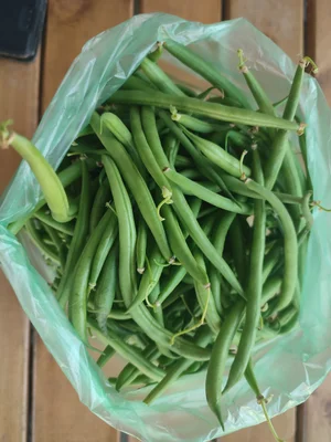 Лизюкова