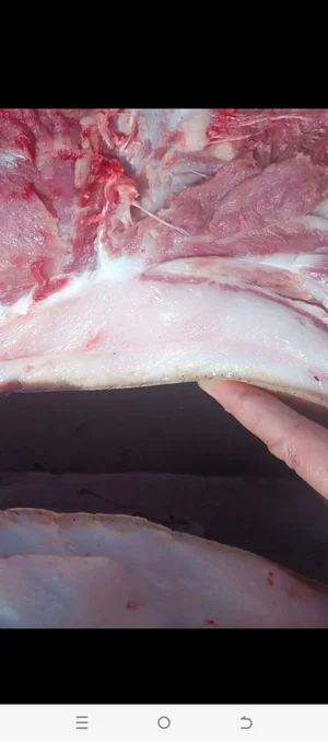Свинина (тушки, полутушки, четвертушки)