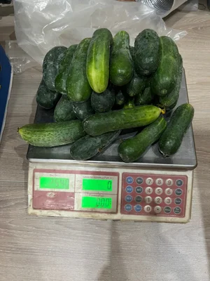 Огурцы