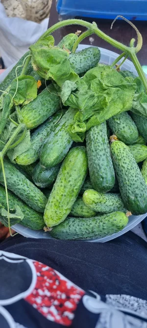 Клубничка