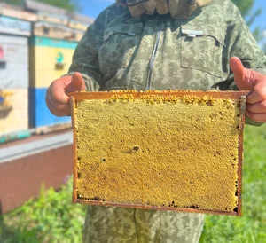 Мёд Луговое разнотравье