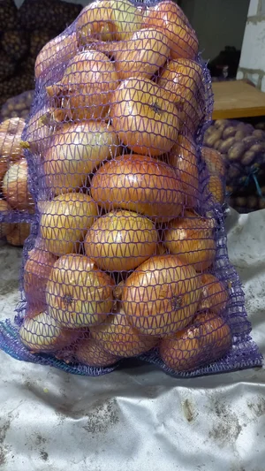 Картофель сорта КОЛОМБО, ВЕГА, ГАЛА