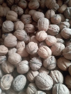 Грецкие орехи