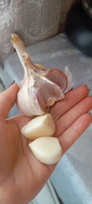 Чеснок