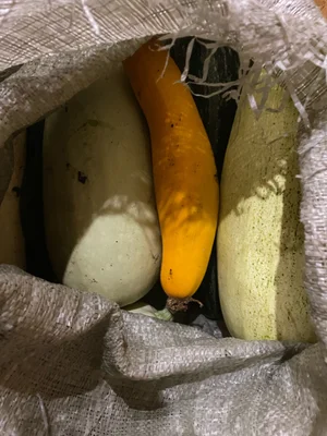 Кабачки на икру