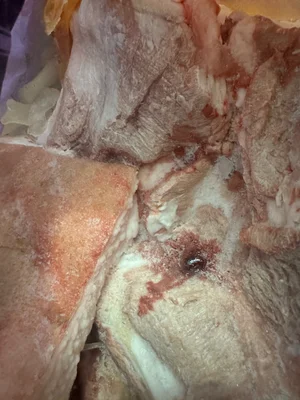 Сало замороженное