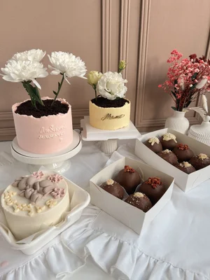 Бенто Макси