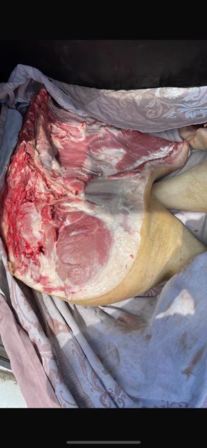 Свинина домашняя