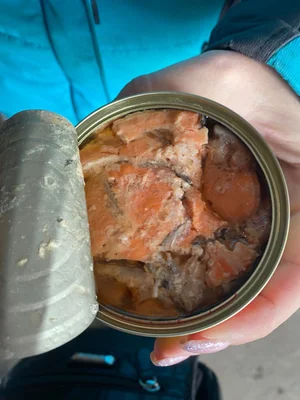 Форель охлажденная непотрашеная