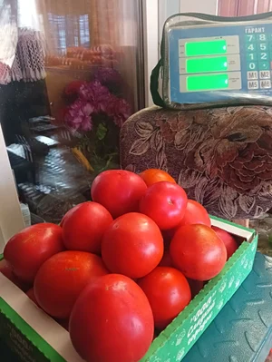 Помидоры