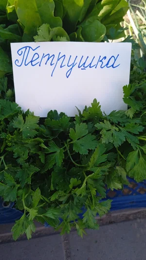 Щавель