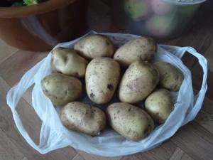 Огурцы