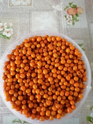 Яблоки