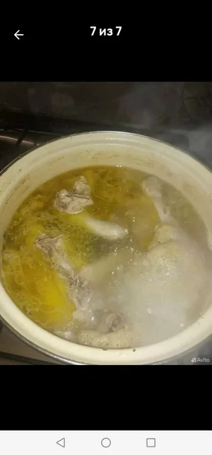 Петушков бульонных