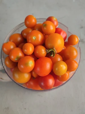 Кабачки