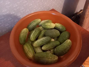Огурцы