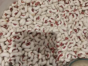 Домашняя картошка