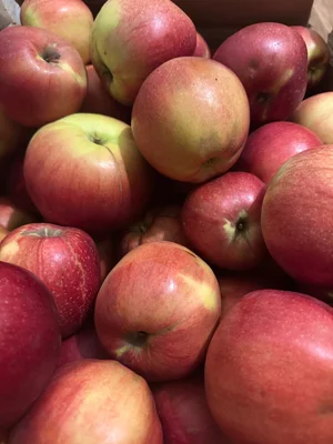 Яблоки Лиголь