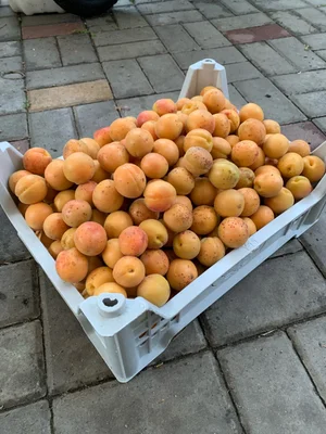 Огурцы